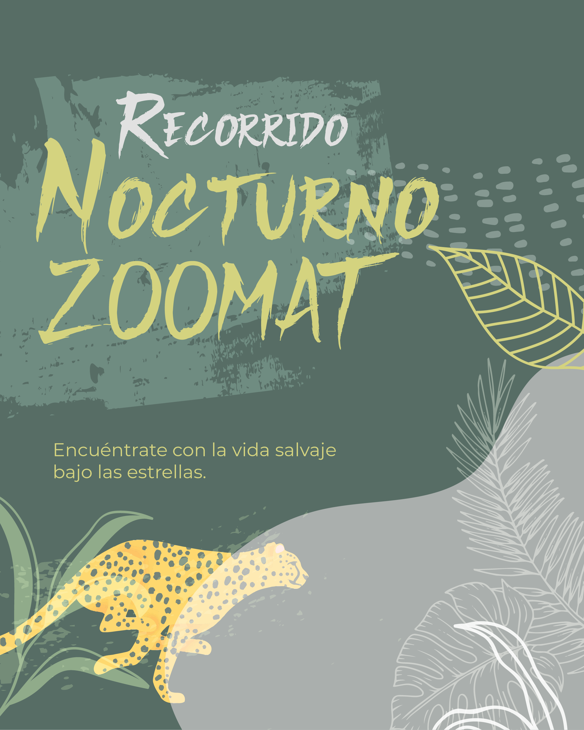 recorrido-nocturno-zoomat